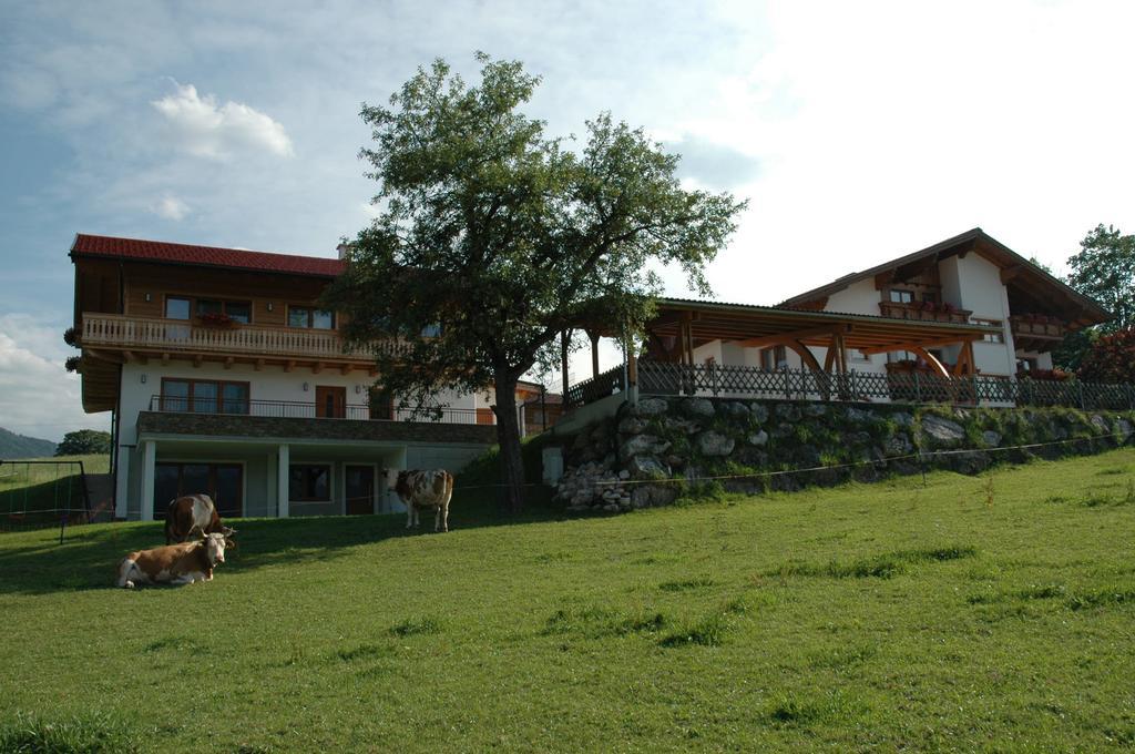 Ferienhaus u. Appartement Knauss Schladming Extérieur photo